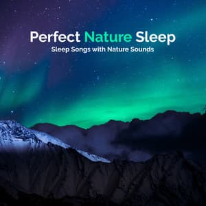 Perfect Nature Sleep - Sleep Songs with Nature Sounds