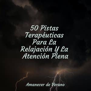 50 Pistas Terapéuticas Para La Relajación Y La Atención Plena - Relajacion Del Mar