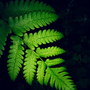 Relaxing Chillout Music - Best Kids Songs