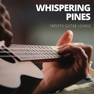 Whispering Pines: Calming Guitar - Smooth Guitar Lounge