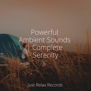Powerful Ambient Sounds | Complete Serenity - Study Music & Sounds
