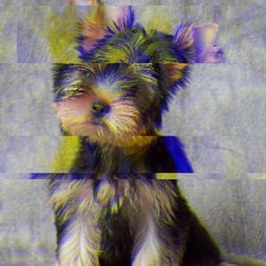 Marvellous Guitar Jazz - Ambiance for Jazzy Chill Dogs - Calming for Dogs