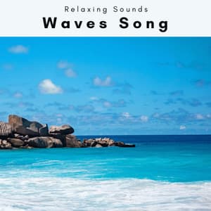 2022 Waves Song - Sea of Noise