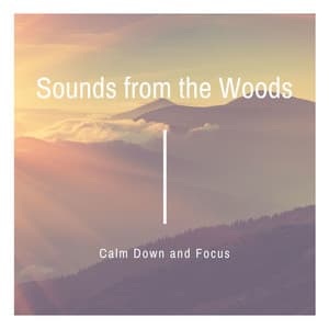 Sounds from the Woods: Forest, Rain, River, Birds Sounds to Calm Down and Focus - Serena Wood