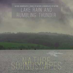 Lake Rain and Rumbling Thunder - Nature Soundscapes
