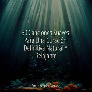 50 Canciones Suaves Para Una Curación Definitiva Natural Y Relajante - Musica para Dormir 101