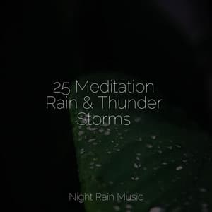 25 Meditation Rain & Thunder Storms - Kundalini Yoga