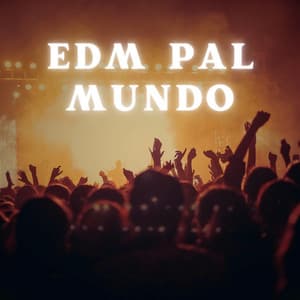 E.D.M Pal Mundo - master lofi beats