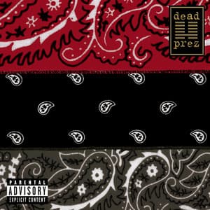 RBG: revolutionary but gangsta - Dead Prez