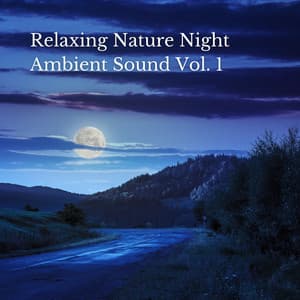 Relaxing Nature Night Ambient Sound Vol. 1 - Relaxation Sleep Meditation