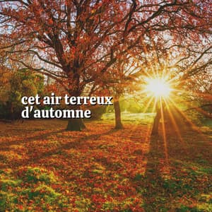 Cet Air Terreux D'automne - Nature Sounds - Sons de la nature