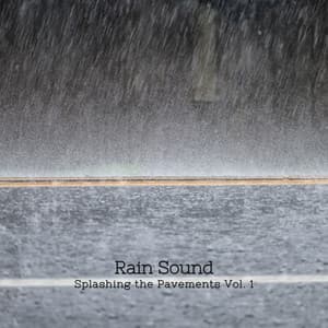 Rain Sound: Splashing the Pavements Vol. 1 - Rain Sounds For Sleep