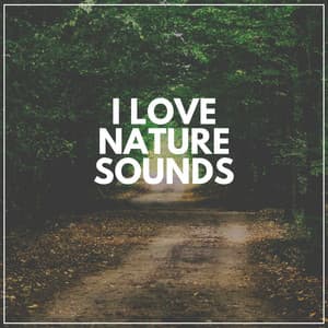 I Love Nature Sounds - Actors of Nature