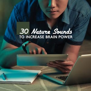 30 Nature Sounds to Increase Brain Power : Music for Studying & Deep Concentration - Study New Age Counter Display