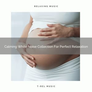 Calming White Noise Collection For Perfect Relaxation - Calming Brown Restful Sounds