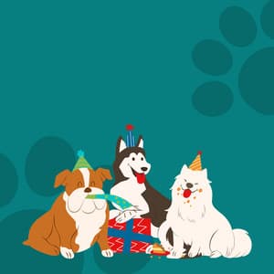 Bark and Beats: Music for Dogs' Life Journey - Boleen FX