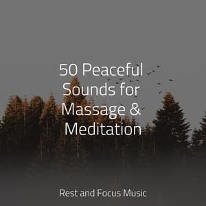 50 Peaceful Sounds for Massage & Meditation - Sleepy Night Music