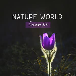 Nature World Sounds – Peaceful Music for Rest, Thinking and Take a Deep Breathe of Life, Exam Study - Ultimate Music Academy