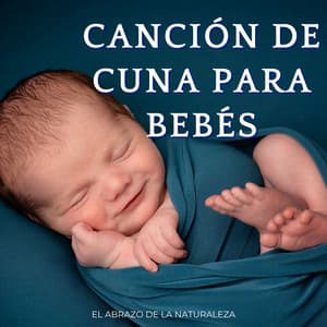 Canción De Cuna Para Bebés: El Abrazo De La Naturaleza - Naturaleza de Suecia