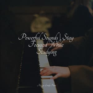 Calm and Romantic Songs from the Piano - Piano Therapy