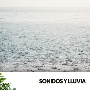 Sonidos y Lluvia: Melodías del cielo - Cat Music Therapy