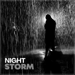 Night Storm - Day & Night Rain