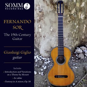 The 19th-Century Guitar - Fernando Sor