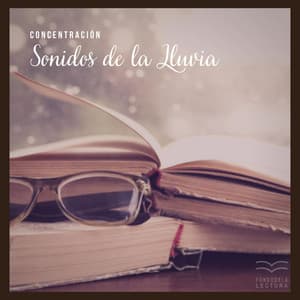 Concentración: Sonidos de la Lluvia - Fondo de la lectura