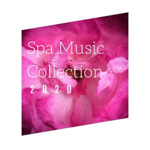 Spa Music Collection 2020: Create your own Spa Experience and Rejuvenate your Body, Mind and Spirit - Relaxation Music Therapists