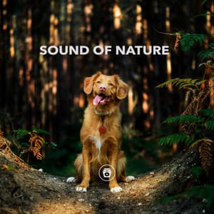 Sound Of Nature - Dog Sounds