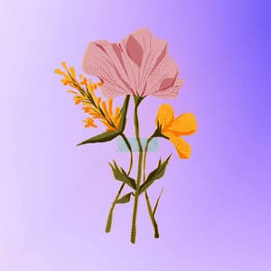 Serene Background for Needing Fusion - Música para Desayuno