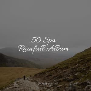 50 Spa Rainfall Album - Nature Sounds Nature Music