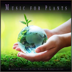 Music for Plants: Healthy Energy Plant Growth Frequencies - Plant Frequencies Collective