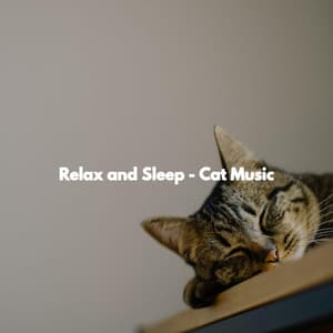 Relax and Sleep - Cat Music - Elevator Background Music Sensation