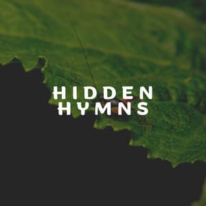 Hidden Hymns - Crickets - Tinnitus Sleep Solution