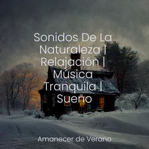 Sonidos De La Naturaleza | Relajación | Música Tranquila | Sueño - Sonido de lluvia