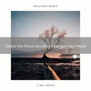 Gather the Peace as a Bird Changes Your Mood - Nature Radio 1