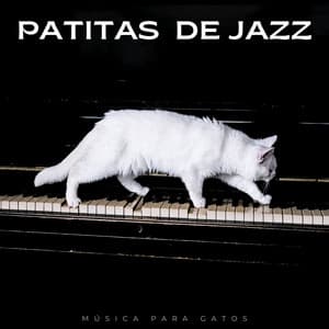 Patitas De Jazz: Música Para Gatos - Java Jazz Cafe