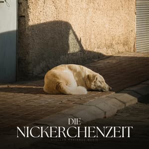 Die Nickerchenzeit - Entspannende Musik für Hunde