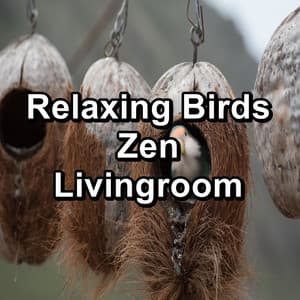 Relaxing Birds Zen Livingroom - Yoga Music