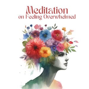 Meditation on Feeling Overwhelmed - Relaxing Music Pro Effects Unlimited