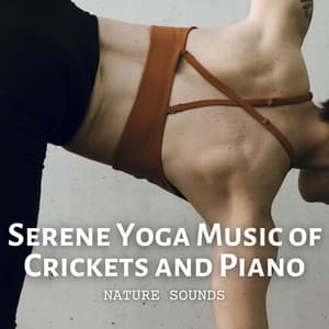 Nature Sounds: Serene Yoga Music of Crickets and Piano - Nature Calm