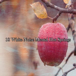 18 White Noise Mental Hot Springs - White Noise Nature Sounds Baby Sleep