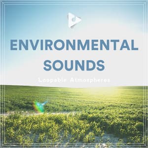 Environmental Sounds - Loopable Atmospheres
