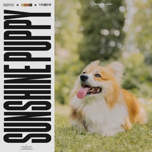 Sunshine Puppy - Calming Music For Pets