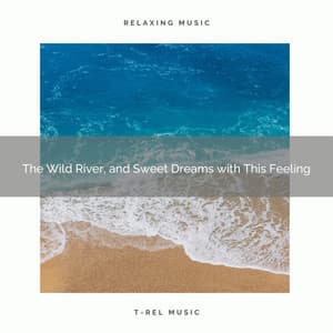 The Wild River, and Sweet Dreams with This Feeling - Trickling Water Soundscape