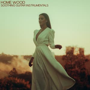 Home Wood - Guitar Instrumentals