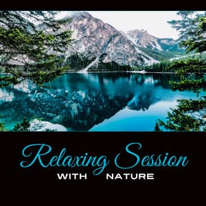 Relaxing Session with Nature - Mindfulness Stills the Mind, Get Rid of Negative Emotions and Thoughts - Background Music Collection