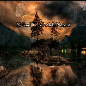 30 Find Your Path In Nature - Forest Sounds