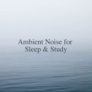 Ambient Noise for Sleep & Study - Easy Sleep Music